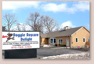 Doggie Daycare Delight video tour