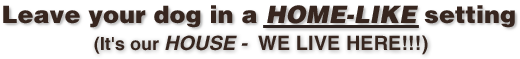 Leave your dog in a HOME-LIKE setting - it's ourHouse - WE LIVE HERE!